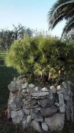 Photo de Ispettorato Regionale Delle Foreste Del Lazio