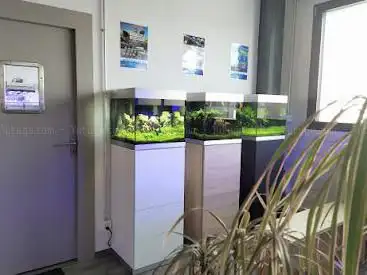 leman aquatique sàrl