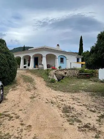 Wine&Food tastings - Vigneto Atha Ruja Poderi Dorgali