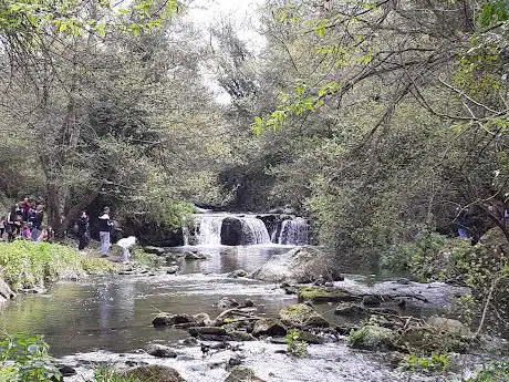 Photo de I sentieri del Parco Valle del Treja