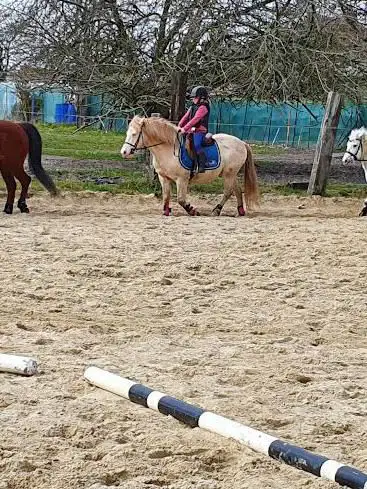 Photo de Manège de la Ferme de Courcelles
