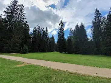 Photo de Cabane forestière