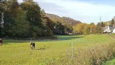 Asbachtal Essen Nature Reserve