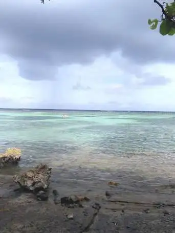 Baie coco