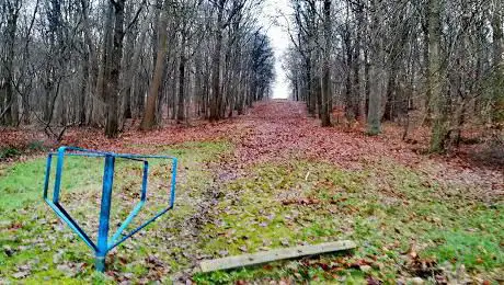 Bois de Floriffoux
