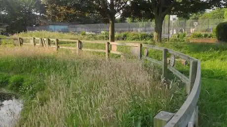 Photo de Public Basketball Court