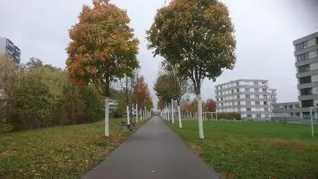 Spielplatz Bubenholzpark