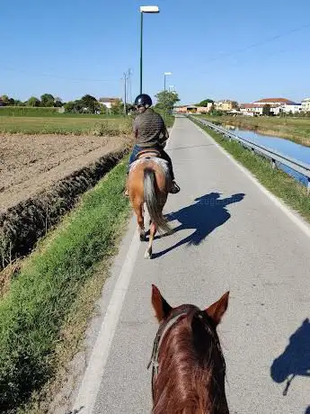Photo de A.Q. Horses