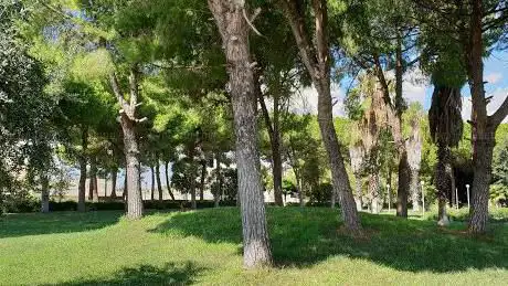 PARCO UNICEF di Torricella