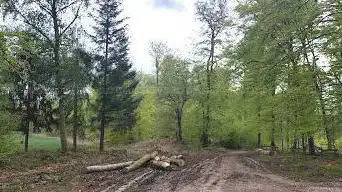 Photo de Parcours de santé