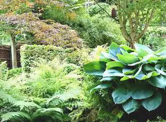 Mollberg Garden