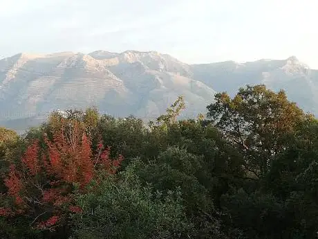 Photo de Sughereta del Monte di Scauri