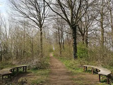 Beukenberg Tongeren