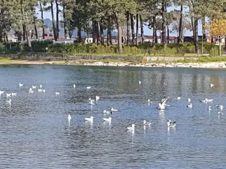 Foz del RÃÂo Miñor