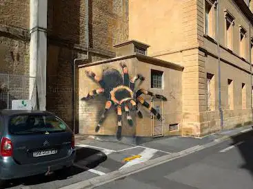 Peinture géante araignée