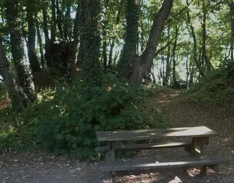 Photo de public Garden