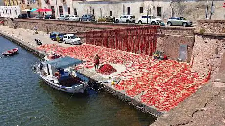 Laltroturismo