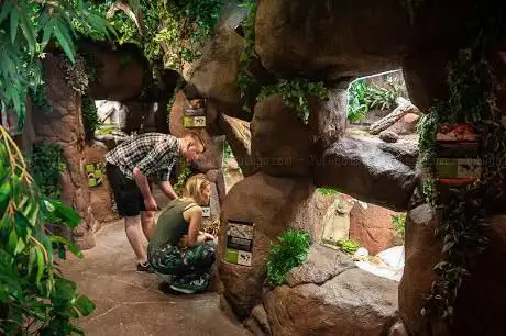 ZOO Serpentarium