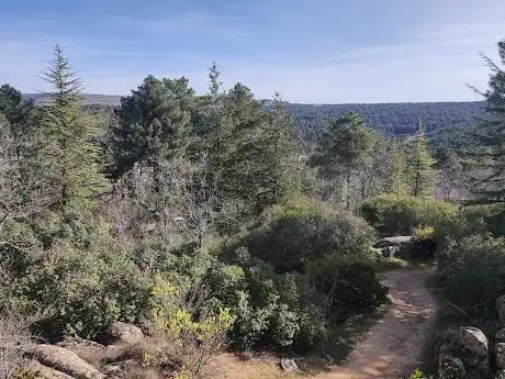 Photo de Las Navas del Marques - Parque Eólico
