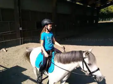 club hippique