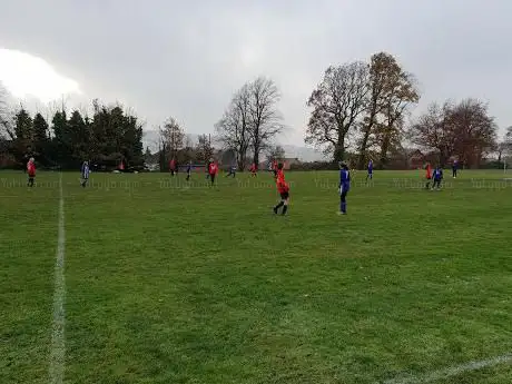 Wisewood Ground