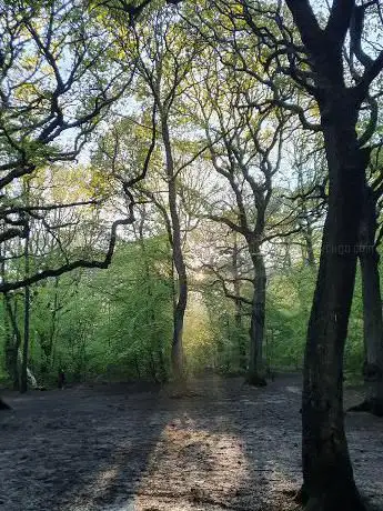 Photo de Park Wood
