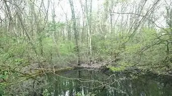 Photo de Parc des Garennes