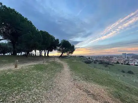 Photo de Parque Forestal de Fuente El Sol