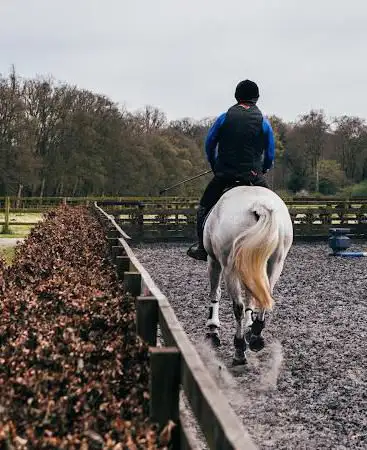 Photo de Lucknam Park Equestrian Centre