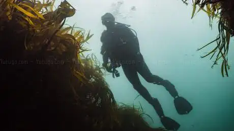 Easy Divers