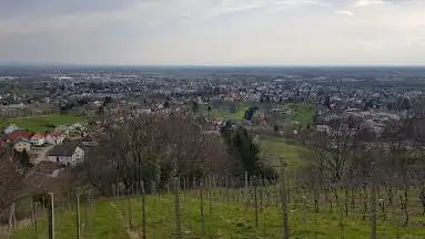 Jakobspilger