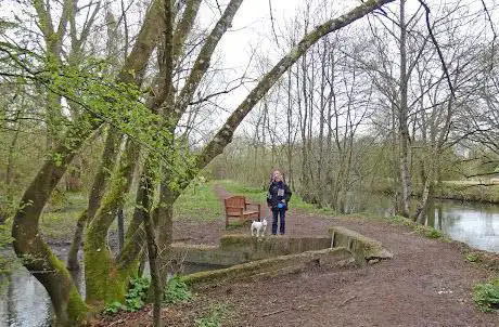 Photo de Lord's Walk