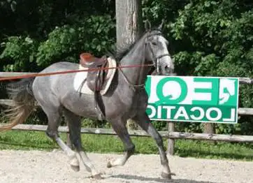 Photo de Equi-location
