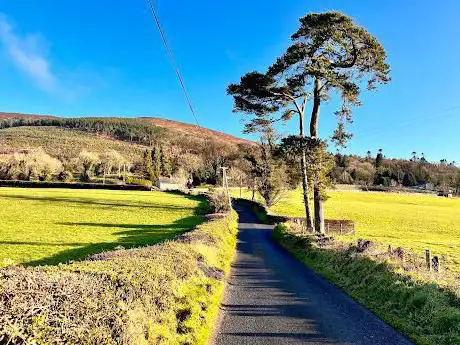 Photo de Slieve Gullion Forest Park