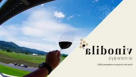Photo de Vinodila' - Wine Tour in Italia - Agenzia Consulenza Enoturistica - Wine Tour in Friuli