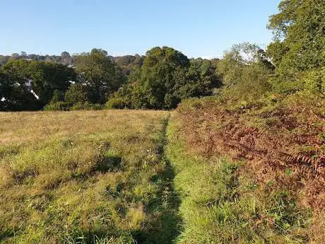 Woodland Nature Reserve