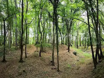 Photo de Château de la Motte
