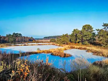 Photo de De Teut En Ten Haagdoorn
