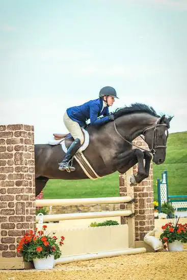 Photo de Morven Park International Equestrian Center