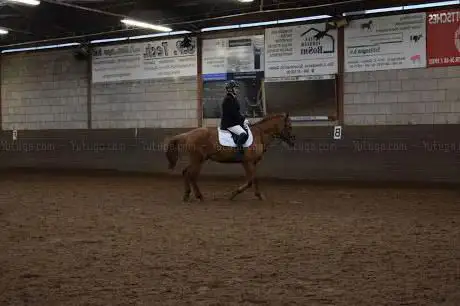 Manege ten Eysden B.V.