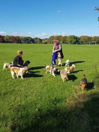 Turn Moss Playing Fields