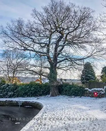 Photo de Wingerworth Lido