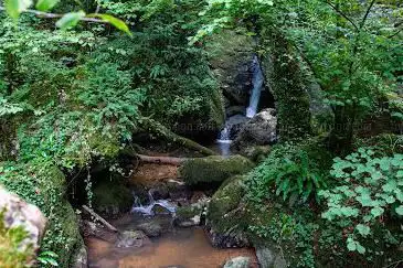Photo de Chastelbachtal