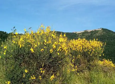 Cappelletta dei Cacciatori