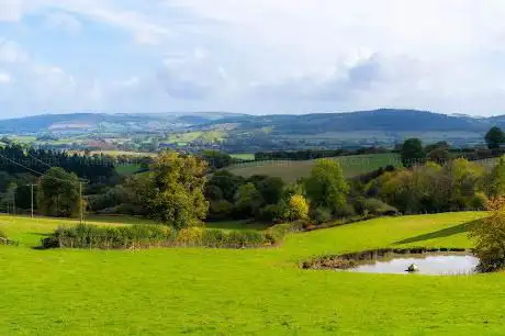 Photo de Mortimer Forest Whitcliffe Viewpoint