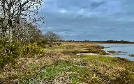 Lytchett Bay Great Health, Nature Reserve