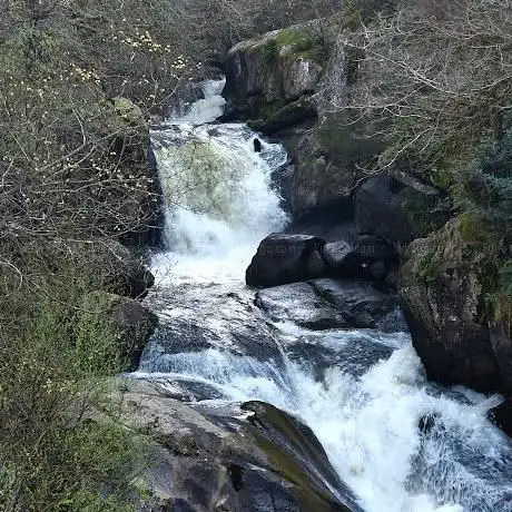 Photo de A Férveda