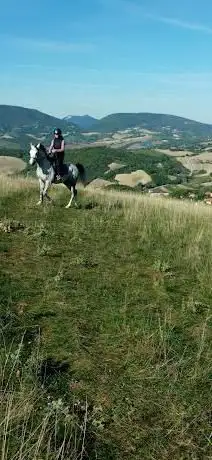 Photo de Circolo ippico La Pirella