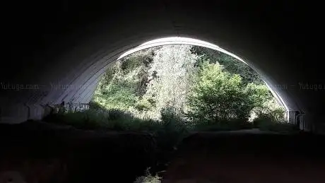 Photo de Bosc dels maribaus