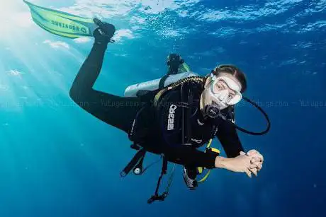 Photo de Lux Dive Travel